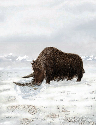 点击浏览下一页